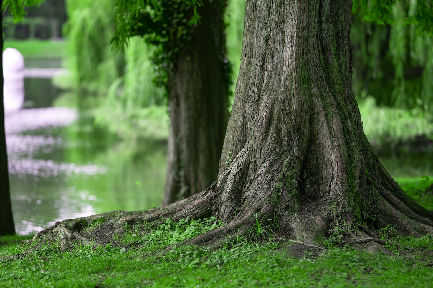 How Strong Foundations Lead to Career Success