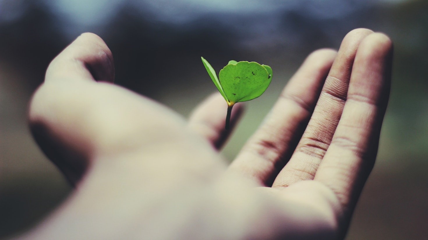 Unlocking Your Career Potential Through Education