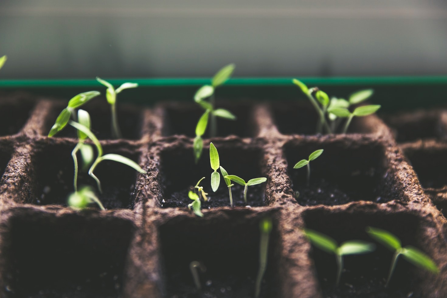 Why Personal Development Should Be Your Priority