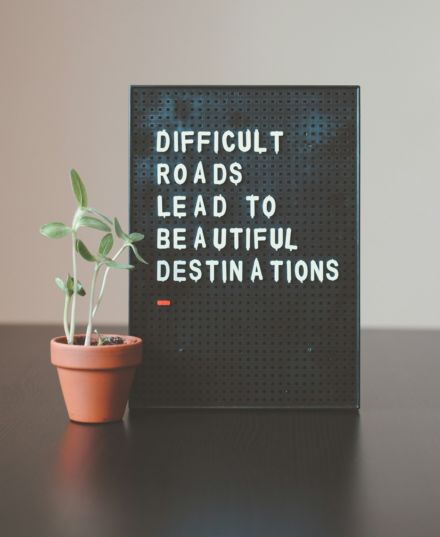 Steps to Foster Growth in Your Professional Life